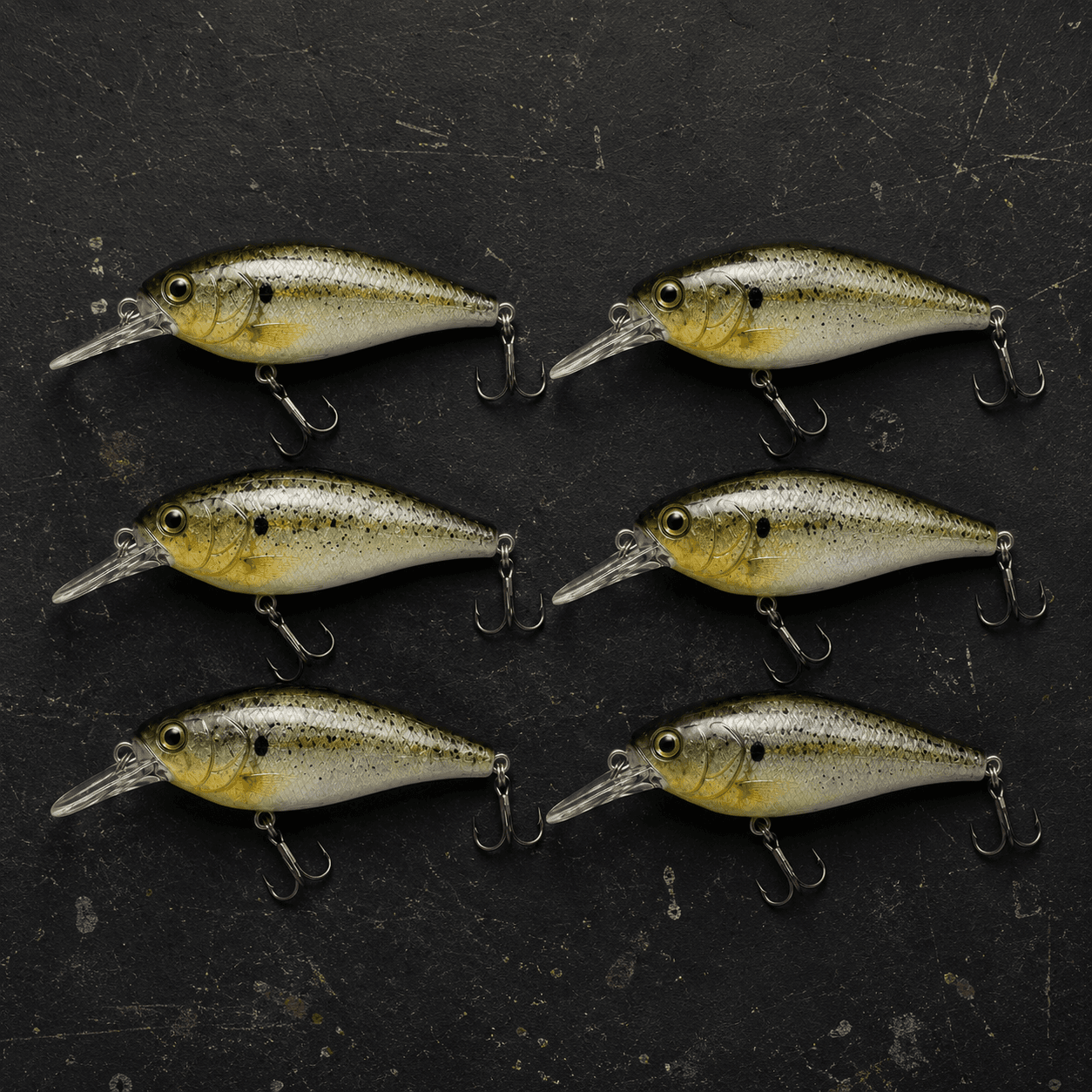6-Pack Hand-Painted Shad Crankbaits by Raleigh’s Cranks